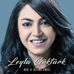 Her Ji Dîtina Ewilî