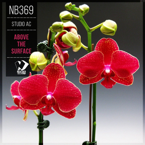Studio AC - Above the Surface (Original Mix)