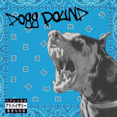 Dogg Pound - Flacko Finesse