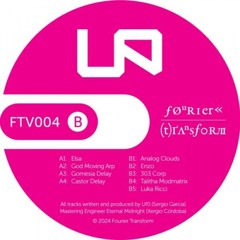 303 corp (FT 004)