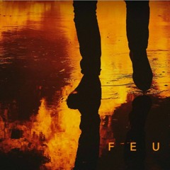 Je ne peux me taire