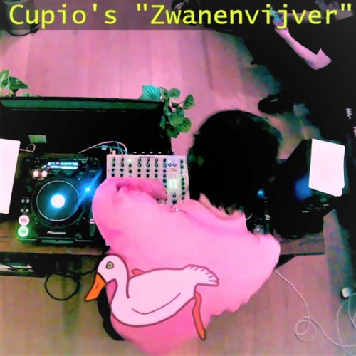 Cupio - Zwanenvijver