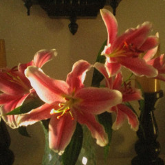 not a lot, just forever (cover)