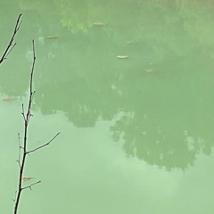 pollution w/ diced prod edyn kukuuuu