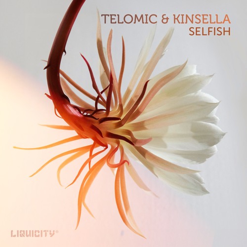 Telomic & Kinsella -  Selfish