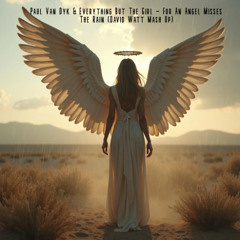 Paul Van Dyk & Everything But The Girl - For An Angel Misses The Rain (David Watt Mash Up)