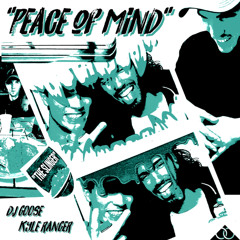 Peace Of Mind - DJ GOOSE & Kyle Ranger