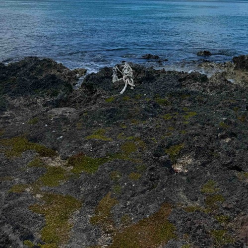 Not my enemy (prod 888cole)