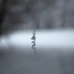 Let's Dance for Sun