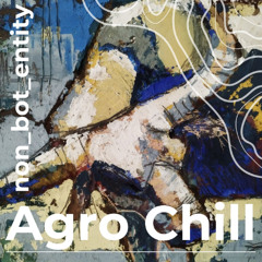 Agro Chill [unmastered]