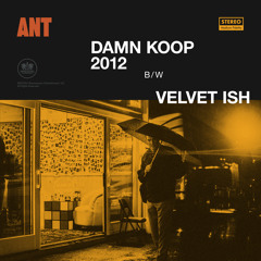 Damn Koop 2012