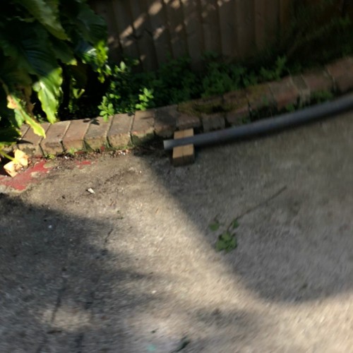Garden sounds (disquiet0436)