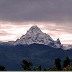 To the Top