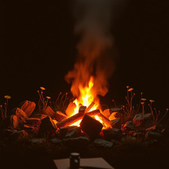 Ashes and Embers