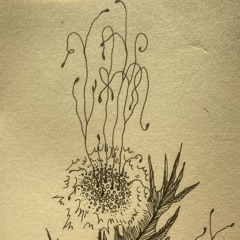 16:16
