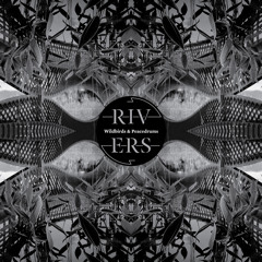 Peeling Off The Layers