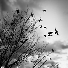 Wes Keys-Black Birds(2020)