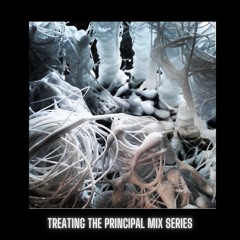 Treating The Principle Mix Series