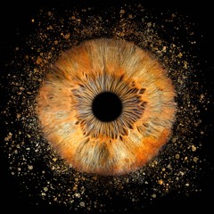 In Your Eyes