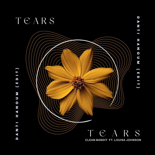 Clean Bandit - Tears (Danti Hanoum Edit) (Free Download)