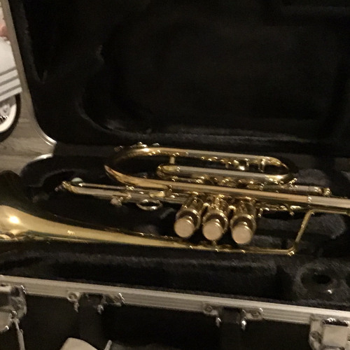 Stream Old Macdonald On Trumpet Homemadeёяшк By Whatтащd I Miss Listen