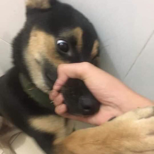 up bài này lên để có mất file thì k tiếc