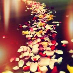 A Calling Home ♥︎