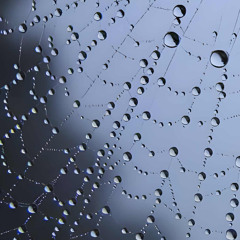 Rain of Tears