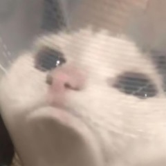 :(