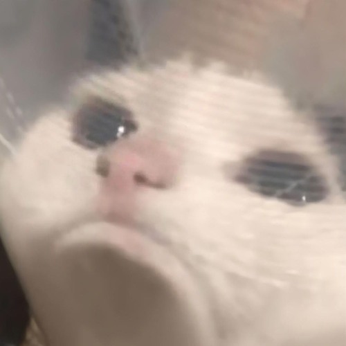 :(