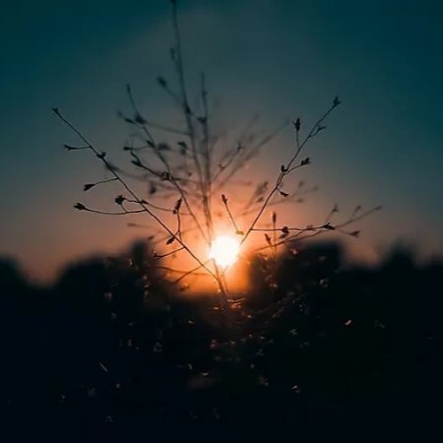 It S A New Dawn By Alyctro It S A New Dawn By Alyctro