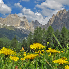 Montagne Verdi (gennaio 3.0 2k25 160)