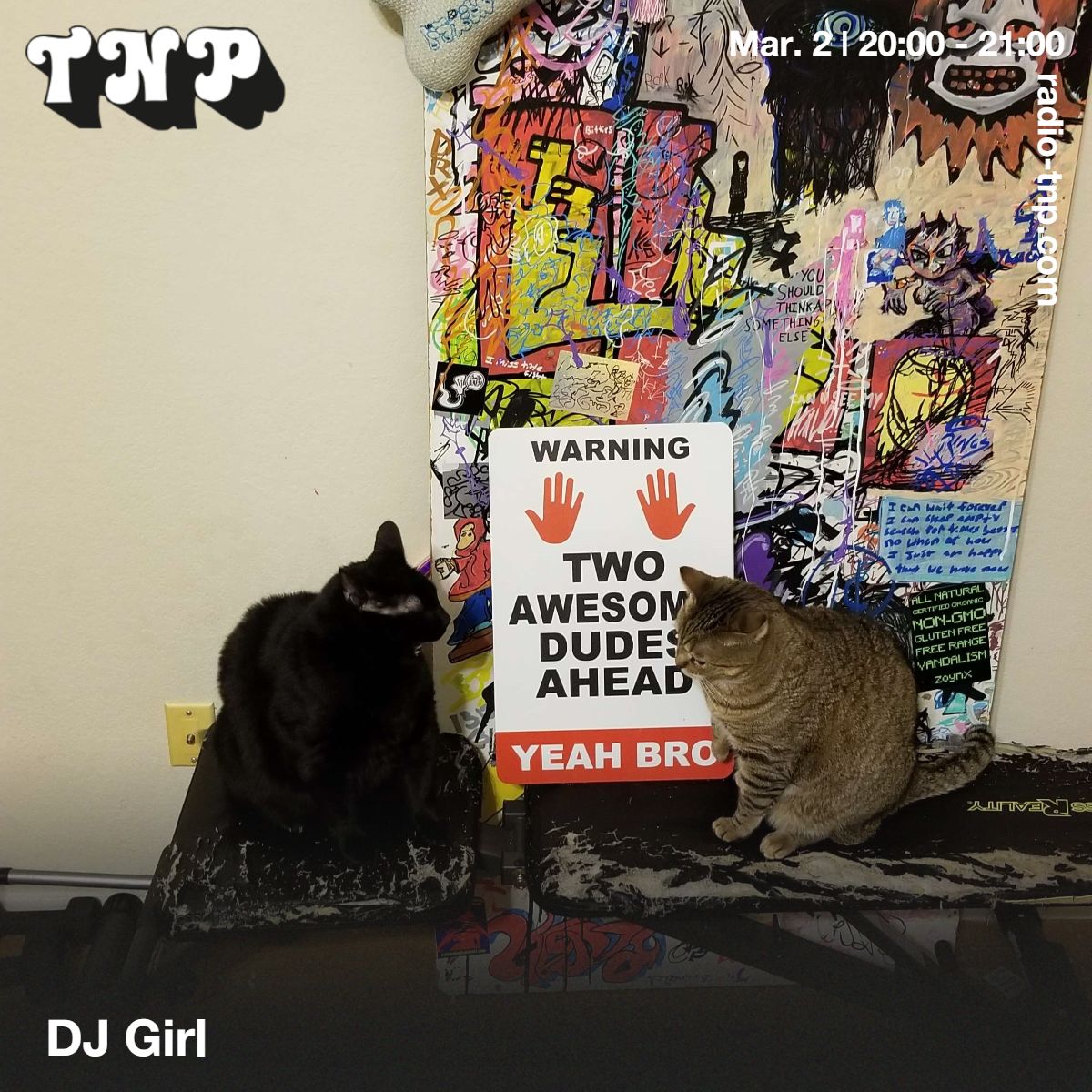 DJ Girl
