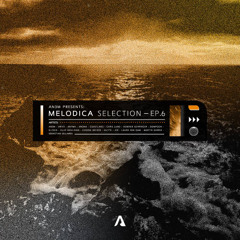 AN3M Presents: Melodica Selection - EP.6 (Martin Garrix, Anyma, Agents Of Time, Chris Luno...)