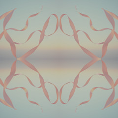Path of Mirrors – Chemin des Miroirs