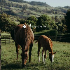 صوتيّات حُبَابَة|في ذلك الروض الأغنّ|زياد أيمن.