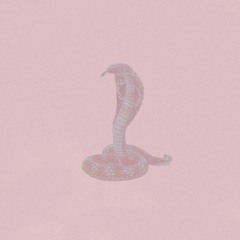 Michael Jordan - Lint (Cobrayama Remix)