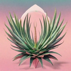 ALOE