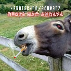 Burra Não Andava (Mix Schranz Stricas)