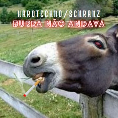 Burra Não Andava (Mix Schranz Stricas)