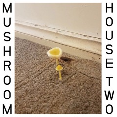 MUSHROOM HOUSE TWO MIXED BY CLUBBY THE DISCO BALLER