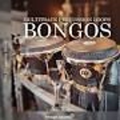Free Download Bongo Loop For Juntstyle