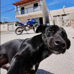 MTG- EU DANÇO DANÇO SEM VC {{DJ 2B DE SÃO MATEUS}} ELA BROTA EM SÃO MATEUS 👻