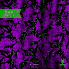 Katoff - Elidia