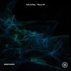 PREMIERE: Felix & Etzu - Plexus [AMAYLIA039]