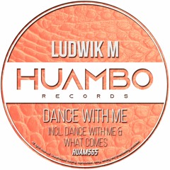 Ludwik M - What Comes (Fun Mix)