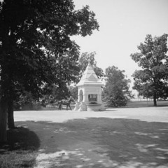 N.V.