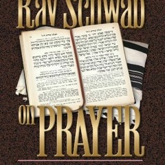 [Get] EPUB KINDLE PDF EBOOK Rav Schwab on Prayer (ArtScroll series) by  Shimon Schwab &  Moshe Schwa