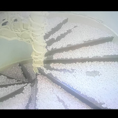 24withoutRoxy Ft Jaye30