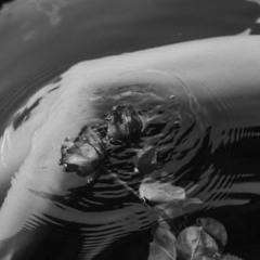 راح تتندم عليا